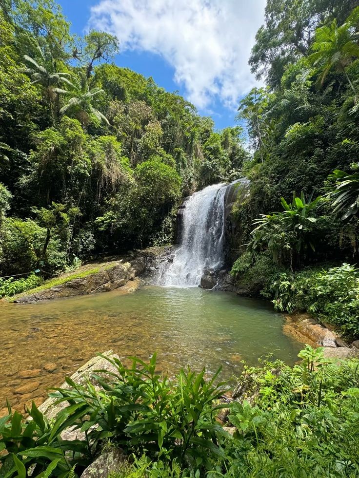 Cachoeira em uma floresta tropical sob um céu azul